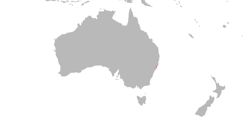 australia_dealers_scaled